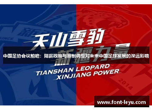 中国足协会议前瞻：降薪政策与赛制调整对未来中国足球发展的深远影响