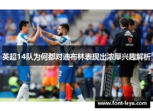 英超14队为何都对迪布林表现出浓厚兴趣解析