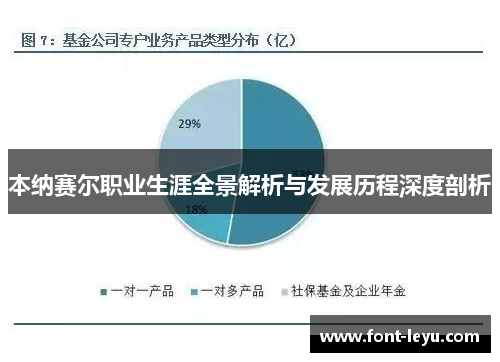 本纳赛尔职业生涯全景解析与发展历程深度剖析